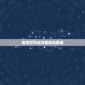 属兔合作伙伴最好的属相，1975年属兔的人最佳的生意伙伴生肖属相