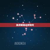 属虎婚姻运势如何，属虎的今年婚姻怎么样？