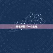 神机妙算打一个生肖，什么生肖是神机妙算？