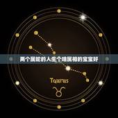 两个属蛇的人生个啥属相的宝宝好，我们两个都是属蛇的，生属什么生肖的宝宝