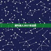 属牛的人2021年运势，属牛人2021年运势运程每月运程