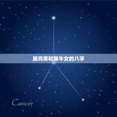 属鸡男和属牛女的八字，男属牛女属龙，八字合