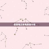 你养龟三年龟养你十年，乌龟长养了10年就是不大是什么原因？