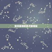 爸妈属相蛇孩子属相鼠，父母都属鼠生什么属相的孩子好