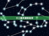 十二堕天使的名字，堕天使到底有几个？分别叫什么名字？