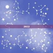 2022 年属鼠的全年运势，2022 年96年鼠女整体运势