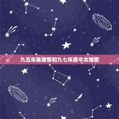 九五年属猪男和九七年属牛女婚配，男属猪1995年的，女属牛1997年的
