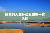 属羊的人跟什么属相在一起合适，属羊的和什么属相最配