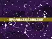 属狗的与什么属相交友做生意最好，属狗适合跟什么属相的人合伙做生意