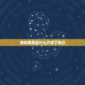 我的属相是什么介绍下自己，我的属相到底是什么？