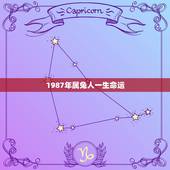 1987年属兔人一生命运，1987年属兔2022 年运势