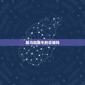 属马和属牛的合婚吗，老公属马老婆属牛