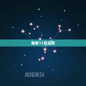 兔年11月运势，2017年属兔的全年运势
