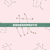 属兔和属龙的婚配好不好，属兔和属龙的在一起就是不好吗
