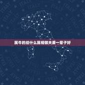 属牛的给什么属相做夫妻一辈子好，我和我老公属相相害，他属马，我属牛，是