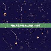 马和虎在一起做生意有财运吗，海中金命里缺什么？