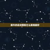 属牛的应该婚配什么属相最好，属牛的，属相和哪个属相最配？