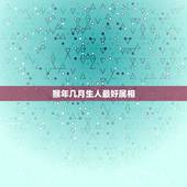 猴年几月生人最好属相，生肖属猴的人在什么年生孩子最好
