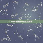 1984年属鼠一生几次婚姻，为什么属鼠1996的命苦