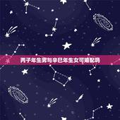 丙子年生男与辛巳年生女可婚配吗，男丙子年出生和女丁丑年出生的今年能结婚