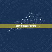 猪的生肖年份多少岁，属猪的人猪今年几岁呀？