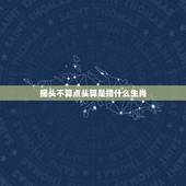 摇头不算点头算是指什么生肖，一部老电影&amp;#8221;新十二 生肖&amp;#8221;谁知道哪里可以下