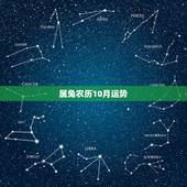 属兔农历10月运势，87年农历10月属兔2010年运势