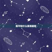 属牛和什么属相最配，天珠佩戴禁忌与属相