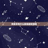 男属羊和什么属相最配婚姻，属相羊男和哪个属相婚配更好
