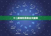 十二属相在周易全文解释，十二属相算运势到底准不准
