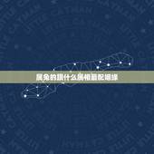 属兔的跟什么属相最配姻缘，属猪的和什么属相最配