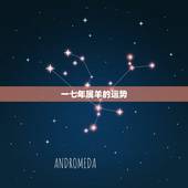 一七年属羊的运势，属羊人17年运势