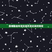 属相是由年定还是月定还是时间定，现在属相到底是依照农历来确定还是新历来