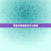 属兔的婚姻忌讳什么属相，属兔的和什么属相相克