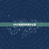 2022年属羊的是什么命，属羊人在2022虎年的运势