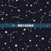 跟猴不合的属相，属猴的和属什么的不和