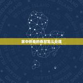 家中供奉的香灰怎么处理，供观音上香时间长了，观音身上有香灰，怎