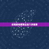 合婚属相重要还是八字重要，用生肖合婚准，还是八字准！