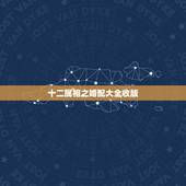 十二属相之婚配大全收版，属相婚配十二生肖年龄表