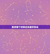 属虎哪个时辰出生最好命运，属虎人什么时辰出生最好
