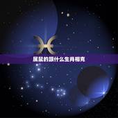 属鼠的跟什么生肖相克，老鼠属相和什么属相不合