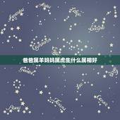 爸爸属羊妈妈属虎生什么属相好，介绍我的爸爸 作文400字