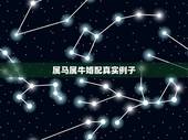 属马属牛婚配真实例子，属牛和属马的人合不合