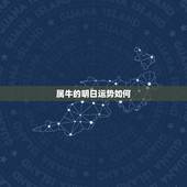属牛的明日运势如何，属牛的人，今天的运气如何？