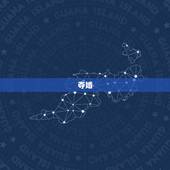 夺婚，掠夺婚的基本资料