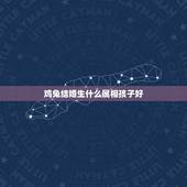 鸡兔结婚生什么属相孩子好，属鸡适合生兔属相的孩子
