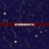 属马和属鼠的合不合，属马与属鼠相克谁克谁