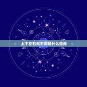 上下左右无不同是什么生肖，awsd和上下左右颠倒