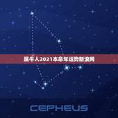 属牛人2021本命年运势新浪网，2021年牛年本命年运势如何
