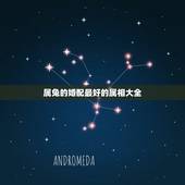 属兔的婚配最好的属相大全，属兔的属相婚配表